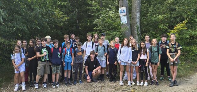 Wandertag der 3ab in Grünbach Wandertag der 3ab in Grünbach